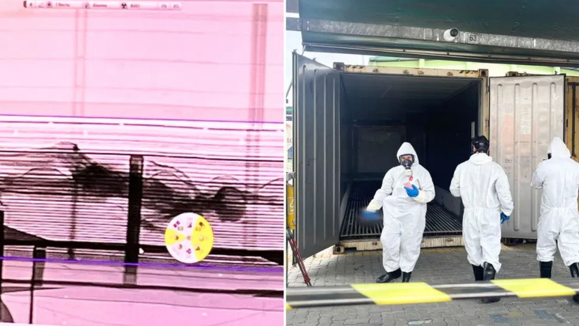 corpo achado em contêiner no Porto de Santos