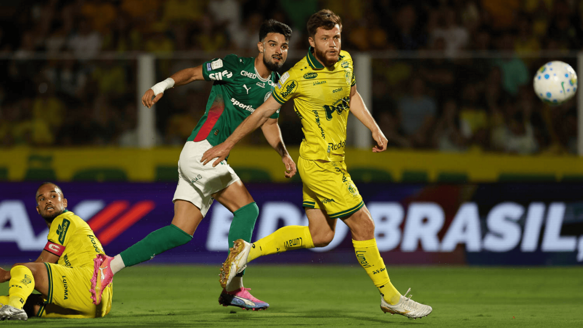 Foto: Cesar Greco / Palmeiras / by Canon