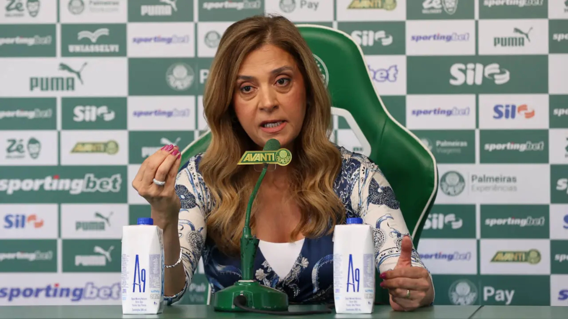 Foto: Cesar Greco / S.E. Palmeiras