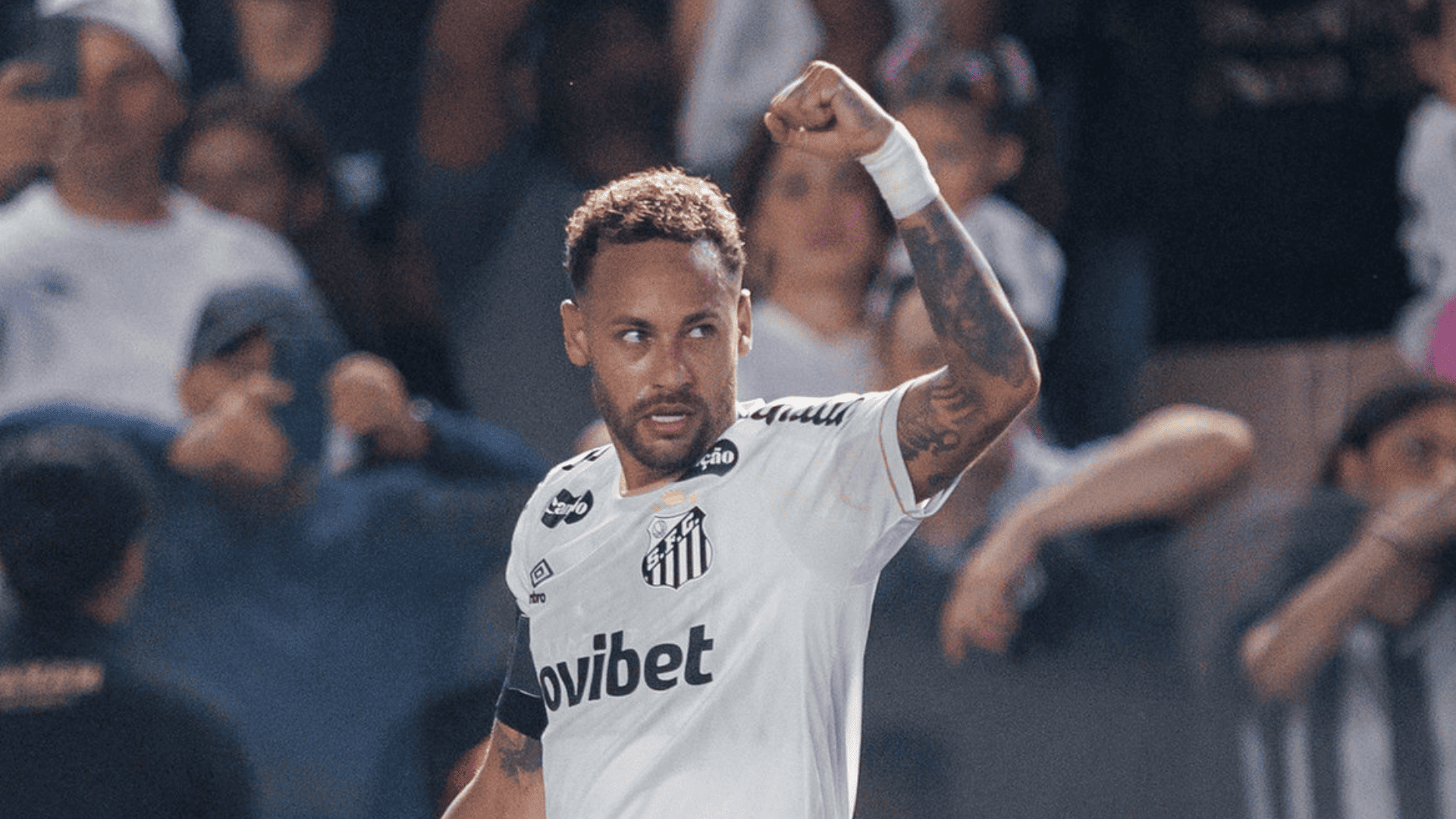 Foto: Raul Baretta / Santos FC