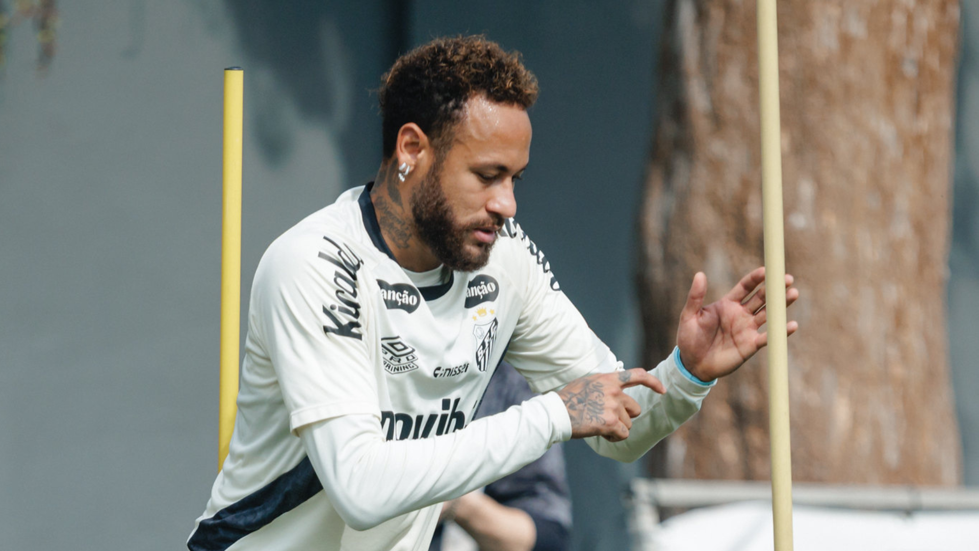Foto: Raul Baretta / Santos FC