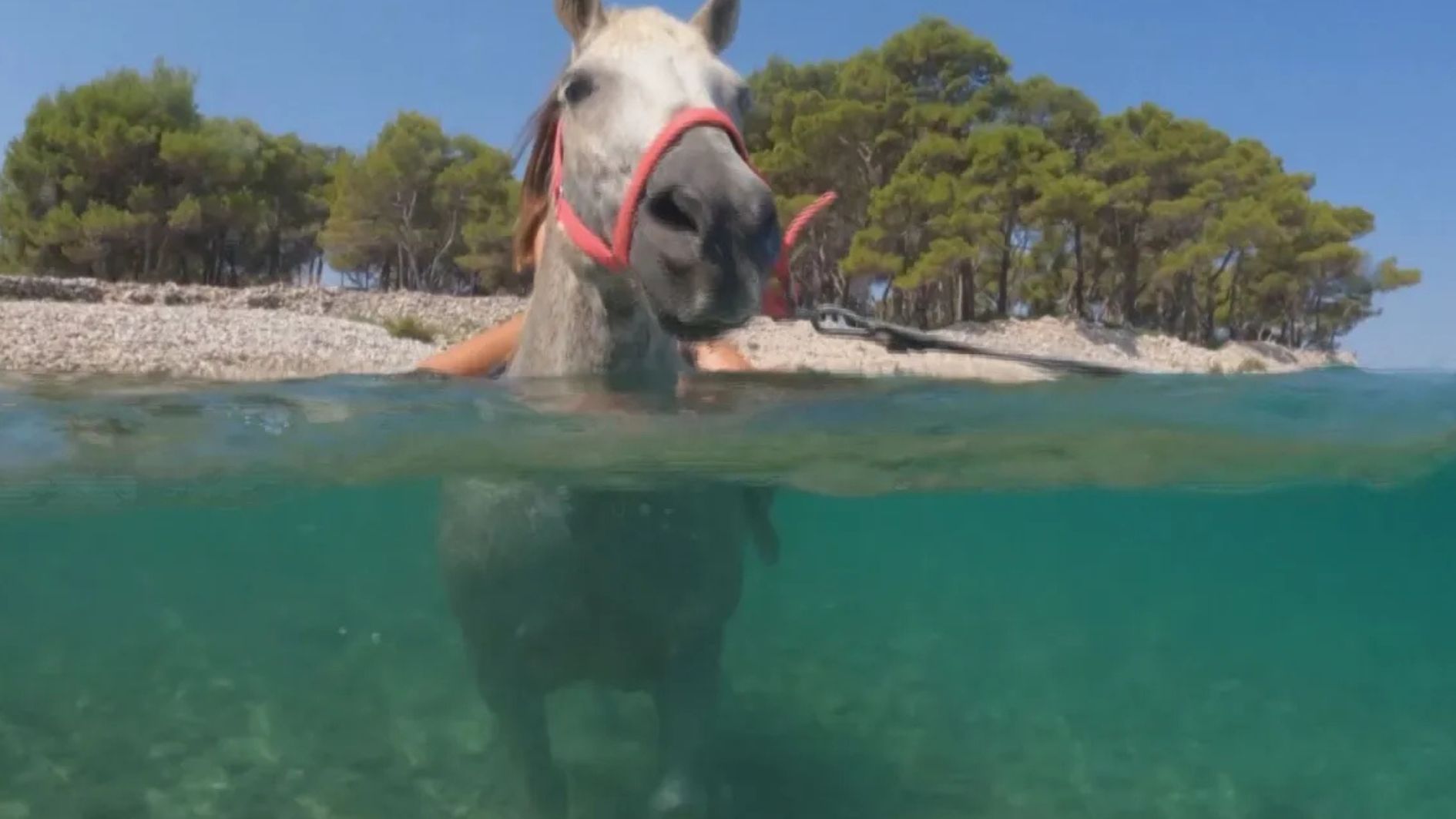 onda de calor na Europa