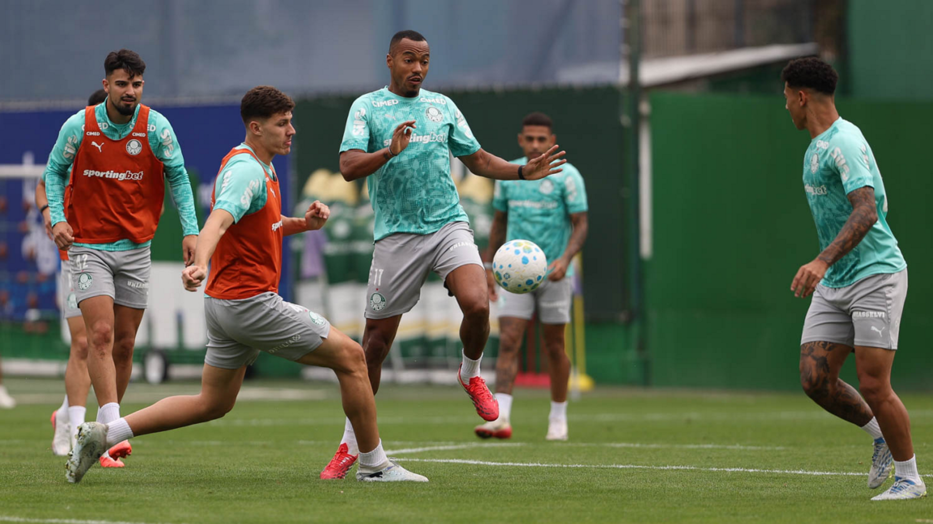 Foto: Cesar Greco / Palmeiras / by Canon