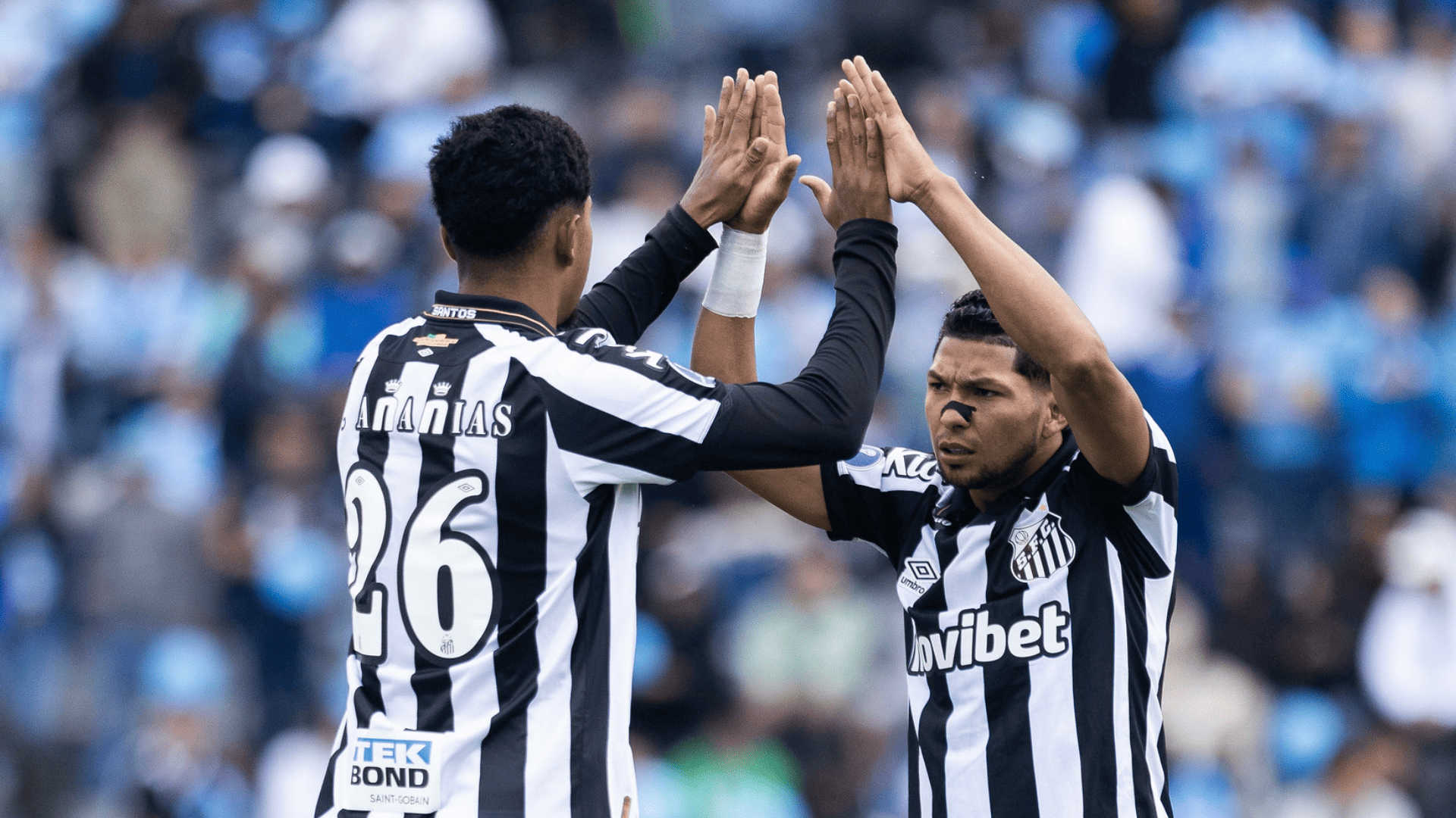 Foto: Reinaldo Campos / Santos FC