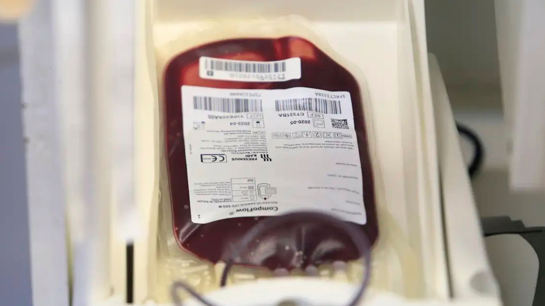 estoque de sangue