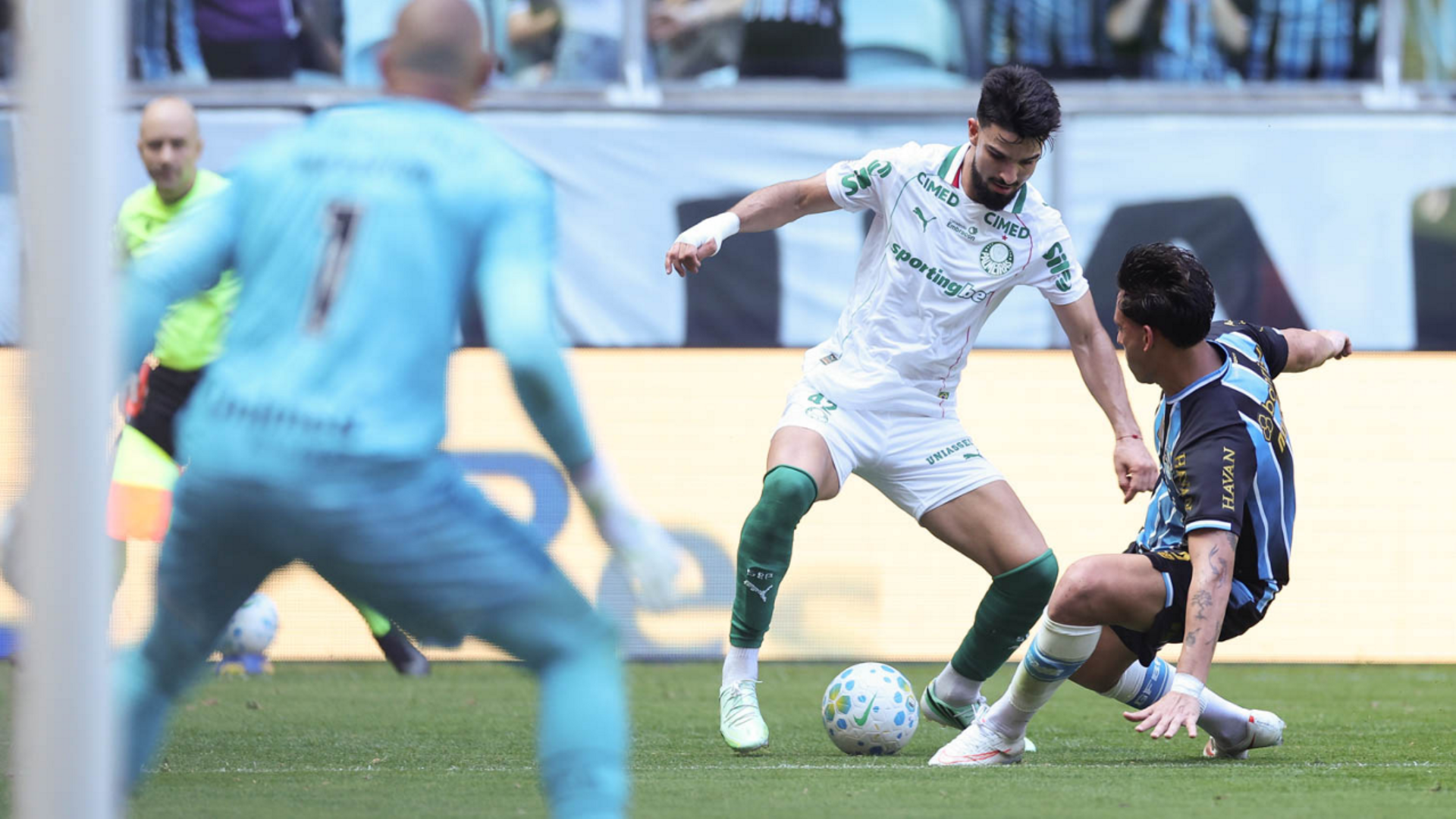 Foto: Cesar Greco / Palmeiras / by Canon