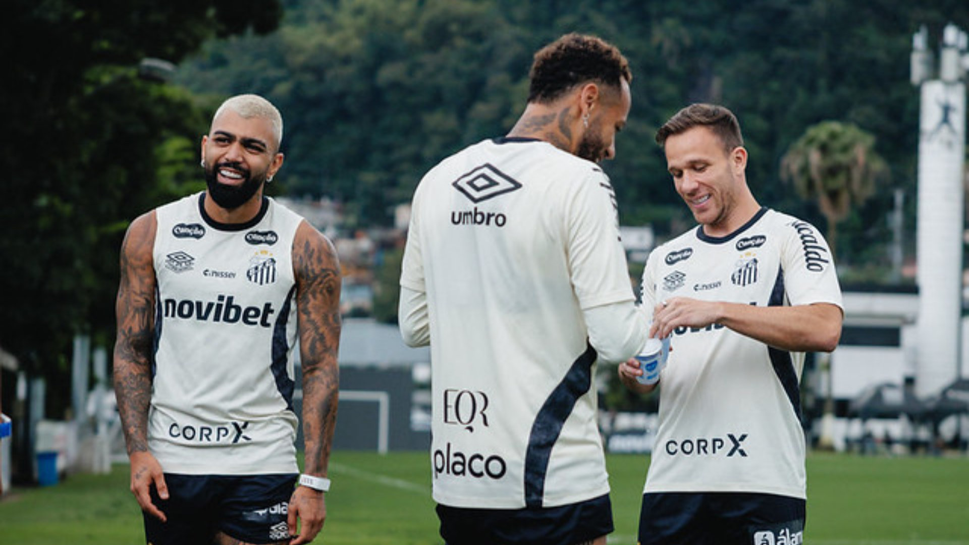 Foto: Raul Baretta / Santos FC