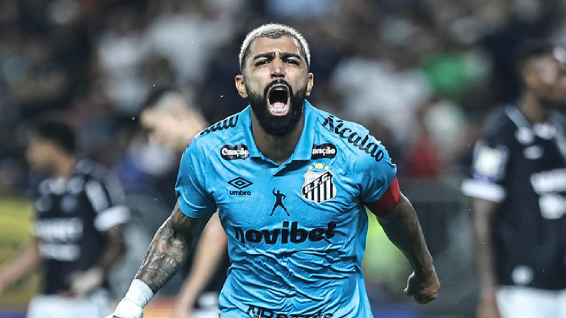 Foto: Reinaldo Campos / Santos FC