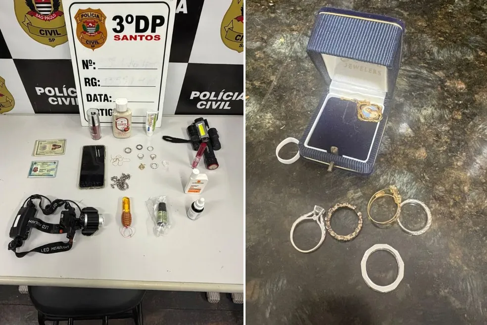 Uma diarista de 44 anos, suspeita de tentar furtar joias e outros objetos de um apartamento na Ponta da Praia, em Santos, ganhou liberdade provisória após ser presa em flagrante.