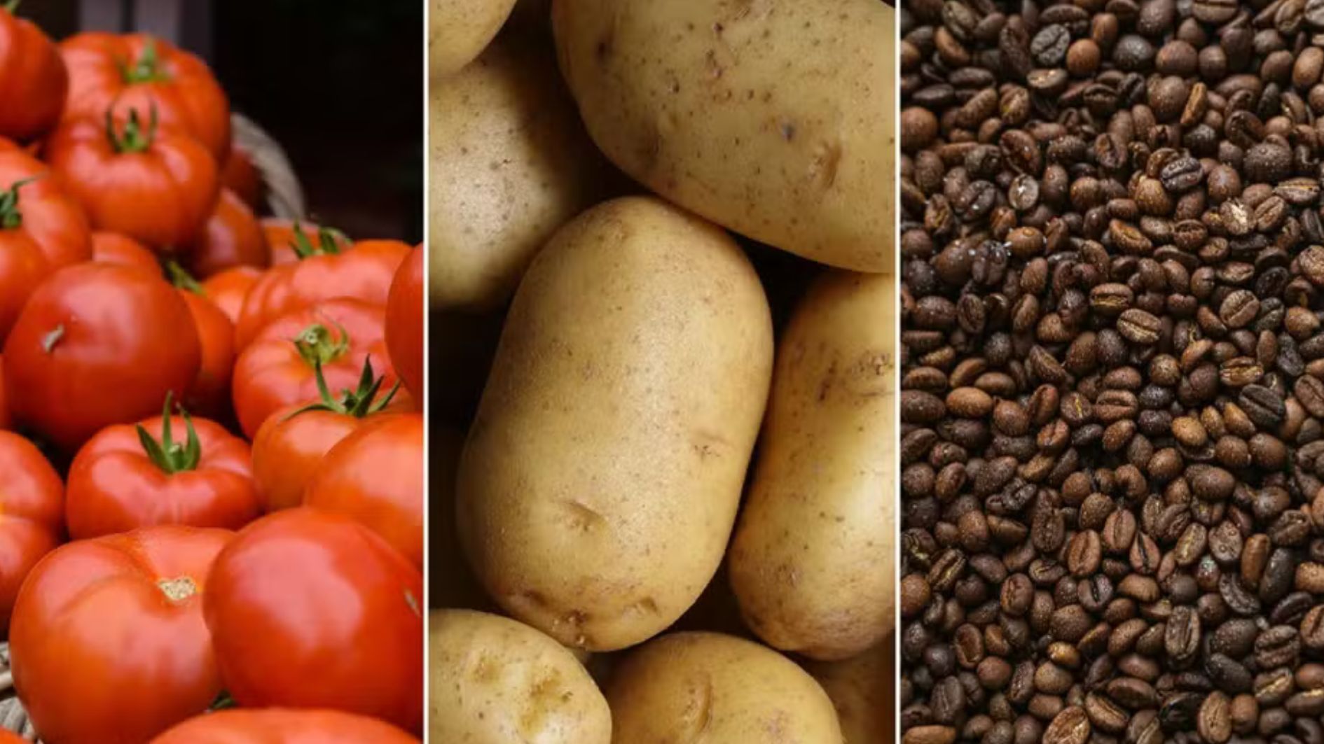 alimentos que subiram e caíram em outubro