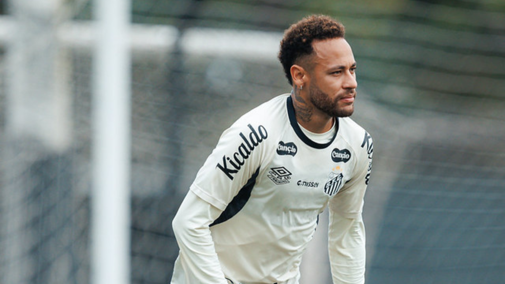 Foto: Raul Baretta / Santos FC