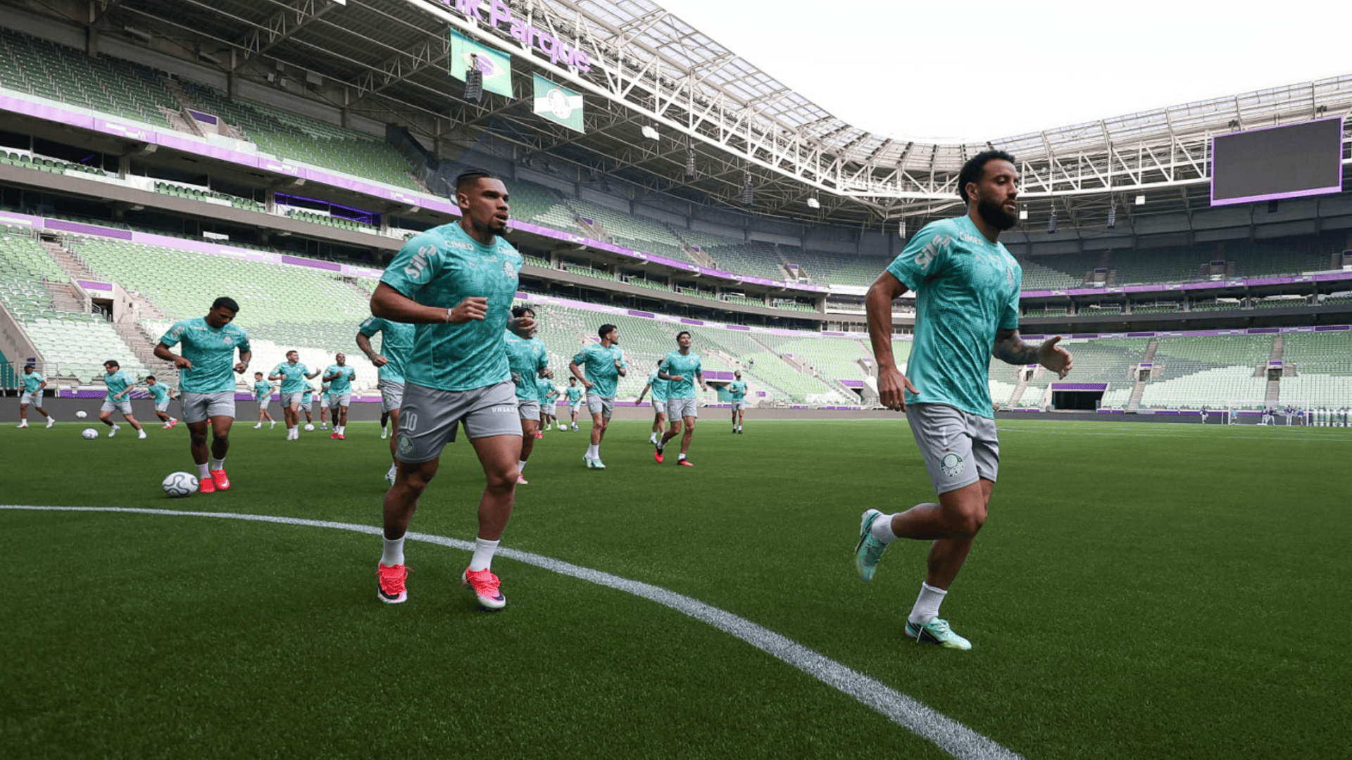 Foto: Cesar Greco / Palmeiras / by Canon