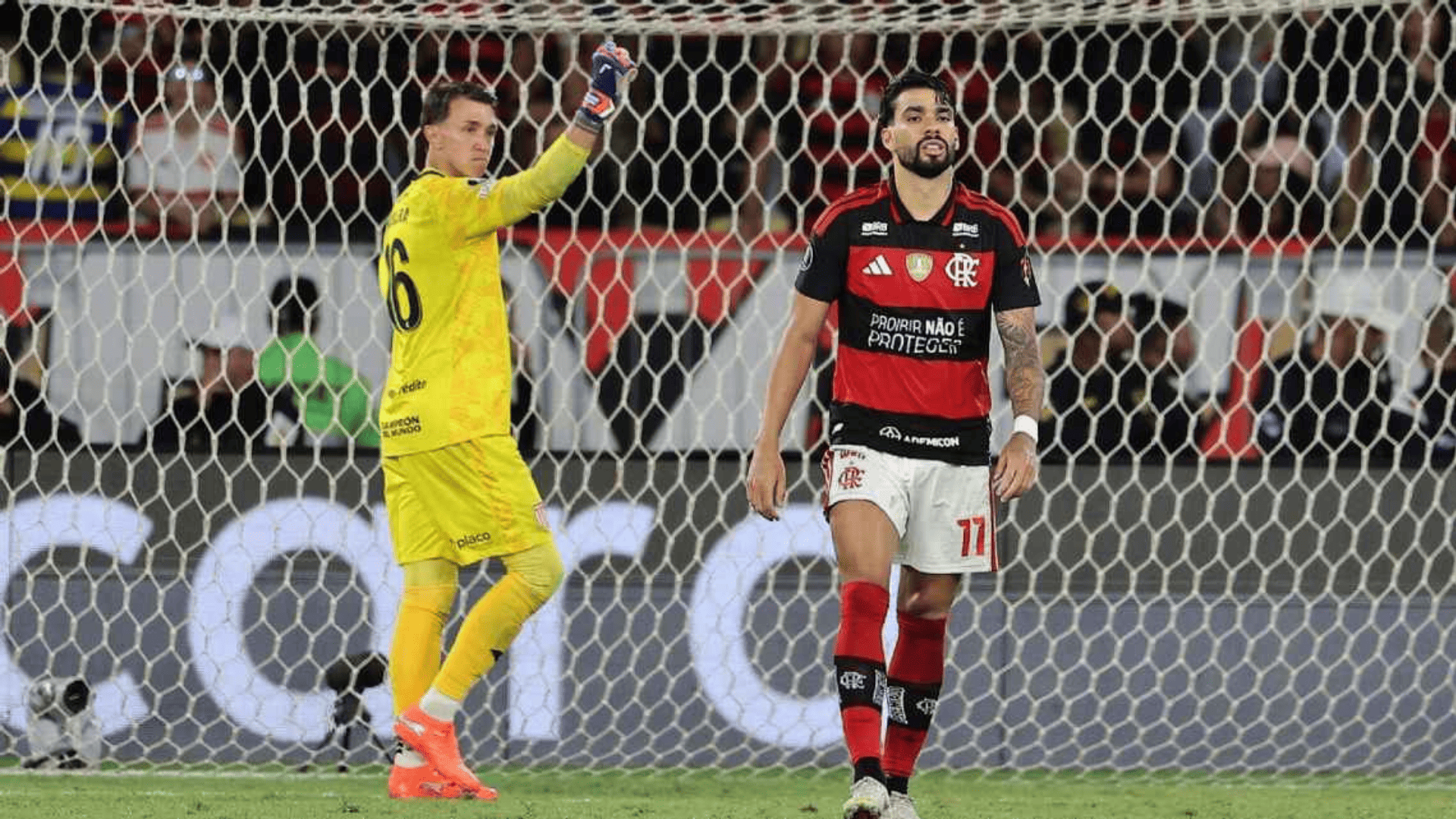 Foto: Wagner Meier / Getty Images