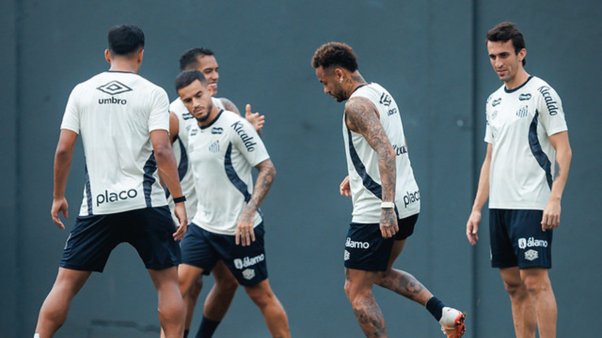 Foto: Raul Baretta / Santos FC