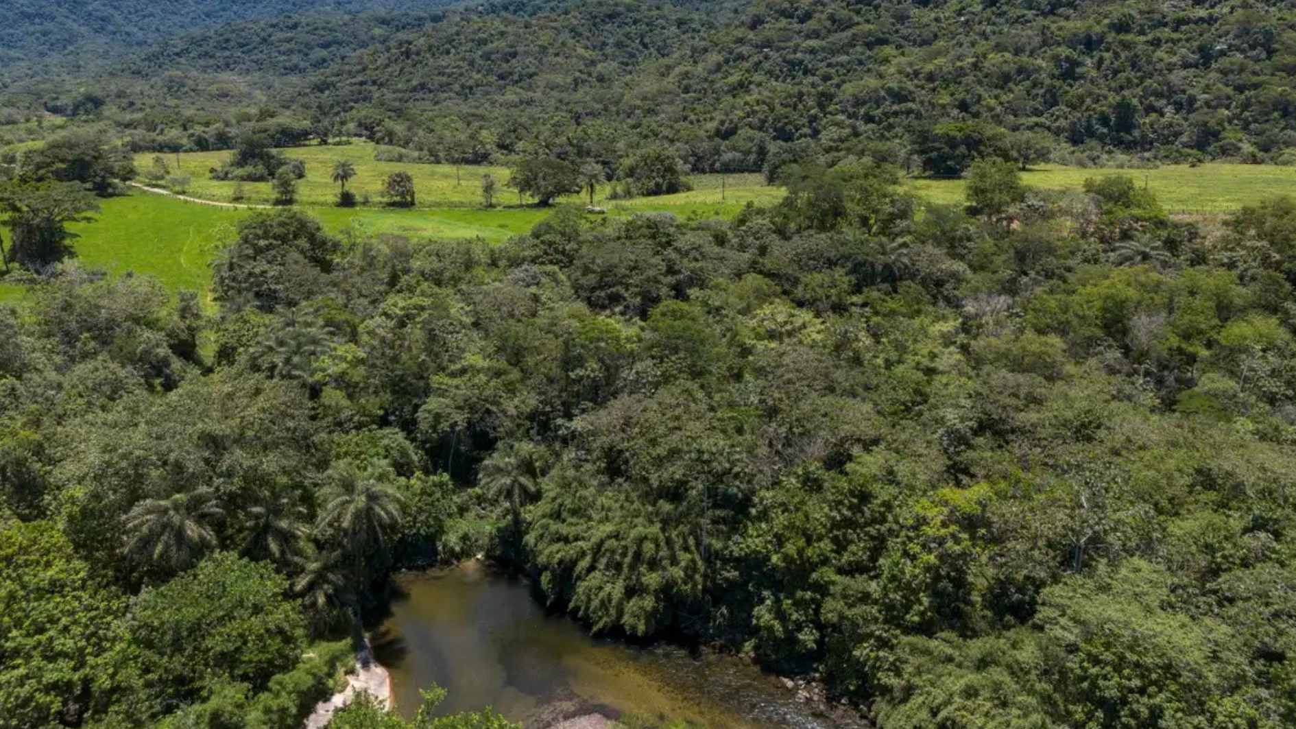 vegetação nativa fragmentada
