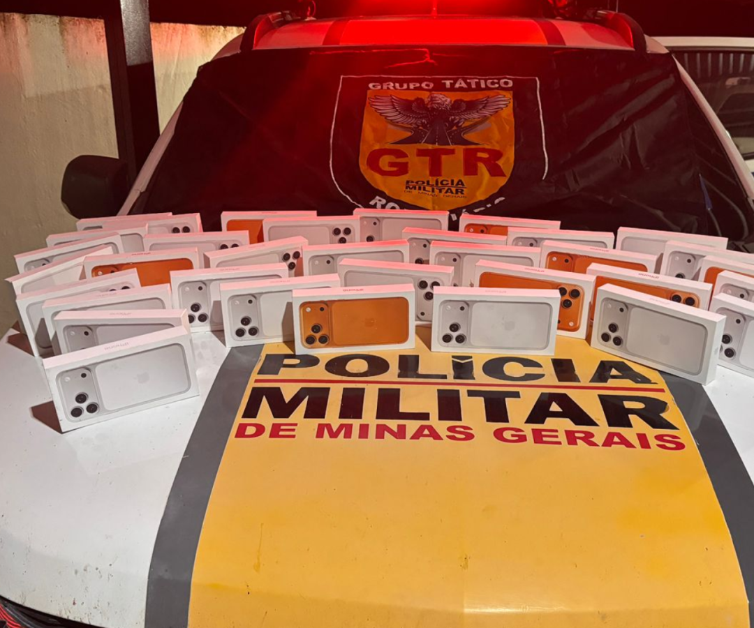 (foto: divulgação/ PMRv)