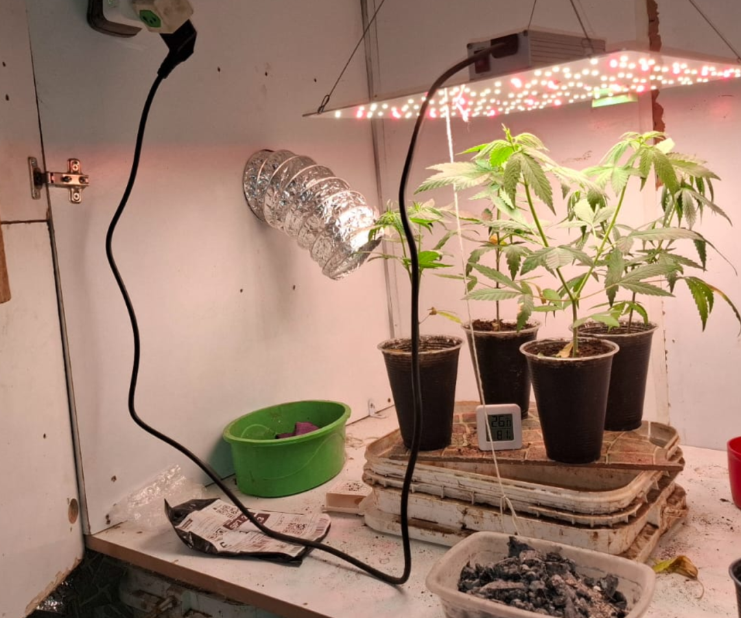 (foto: dIvulgação/ PMMG)