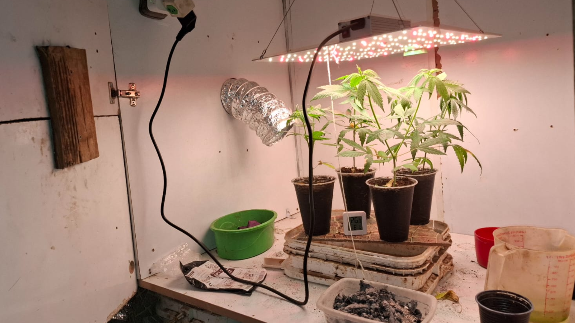 (foto: dIvulgação/ PMMG)