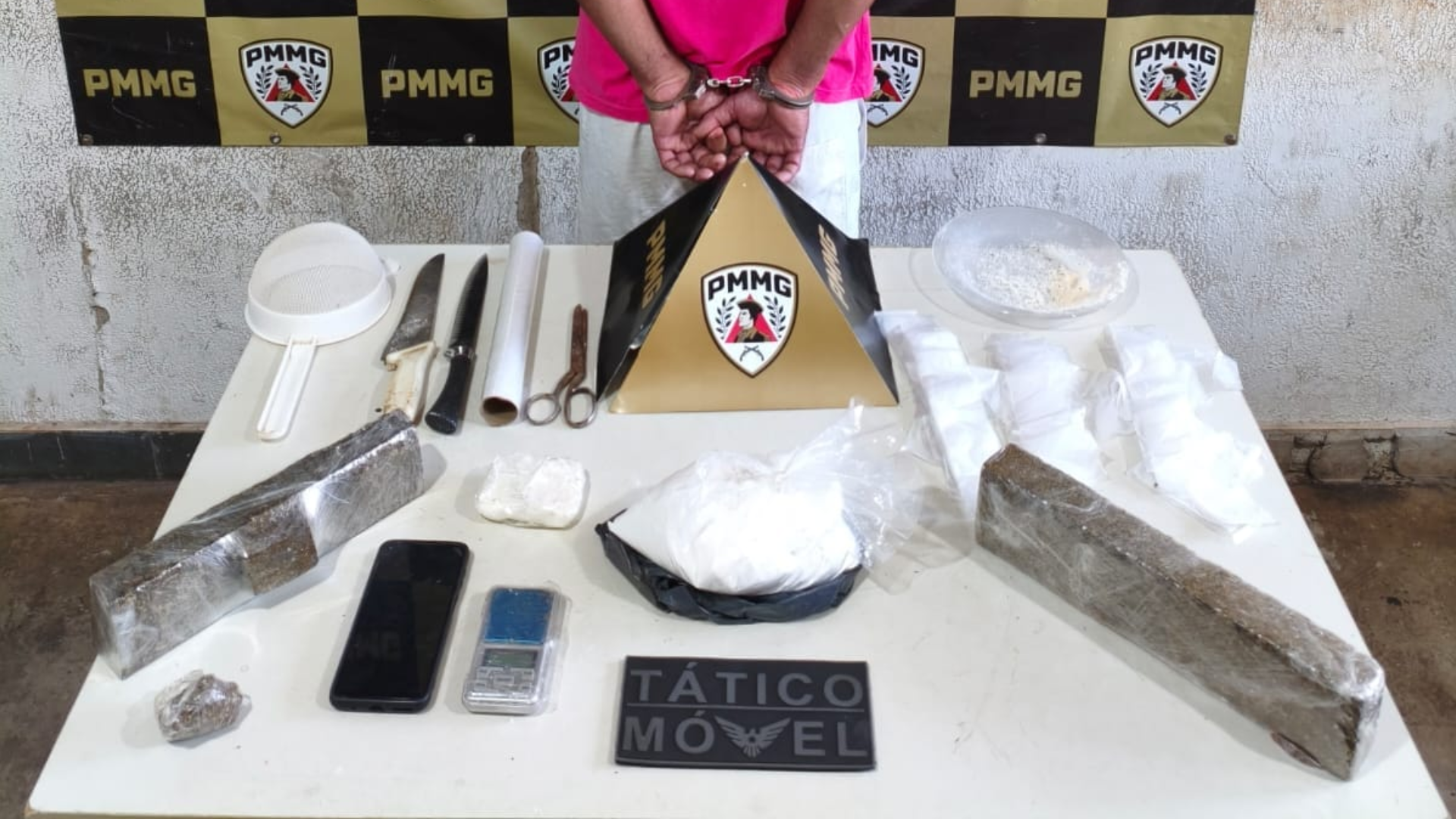 (foto: divulgação/ PMMG)