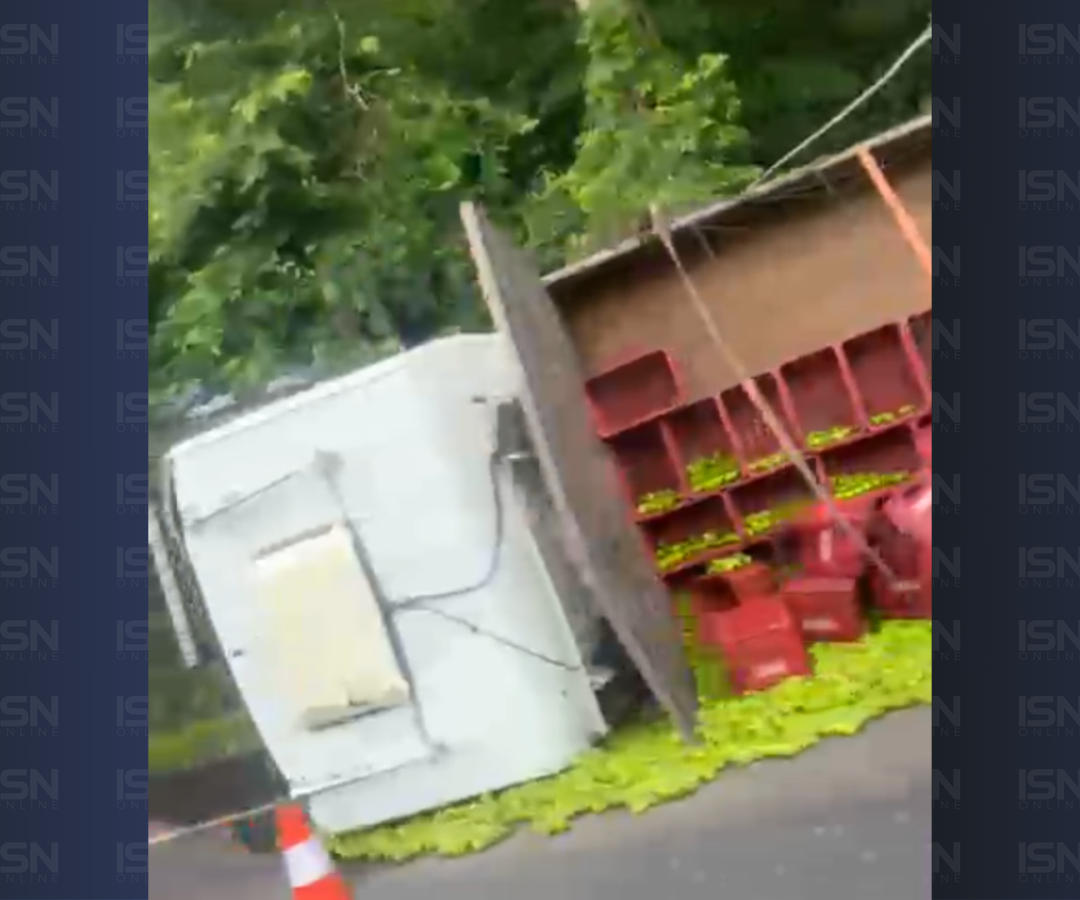 (foto: reprodução/ redes sociais)