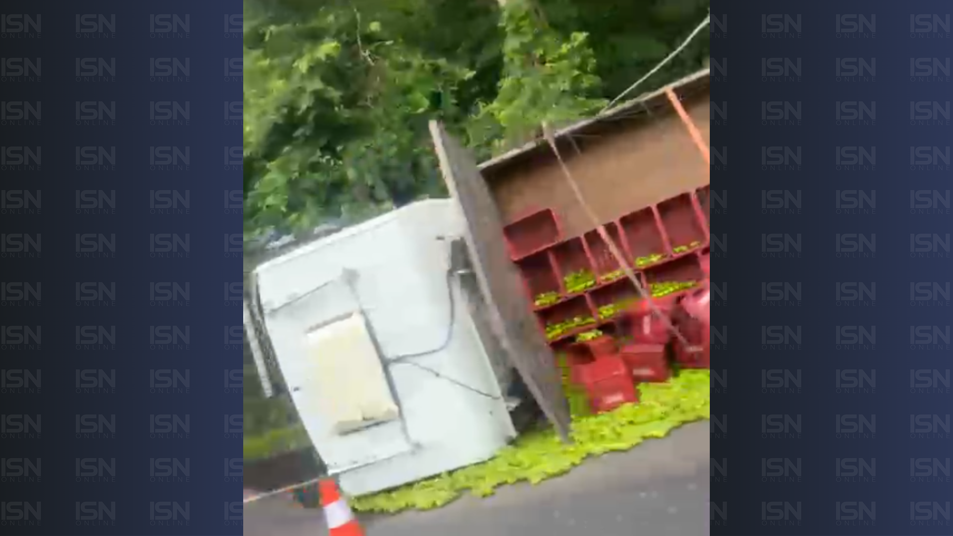 (foto: reprodução/ redes sociais)