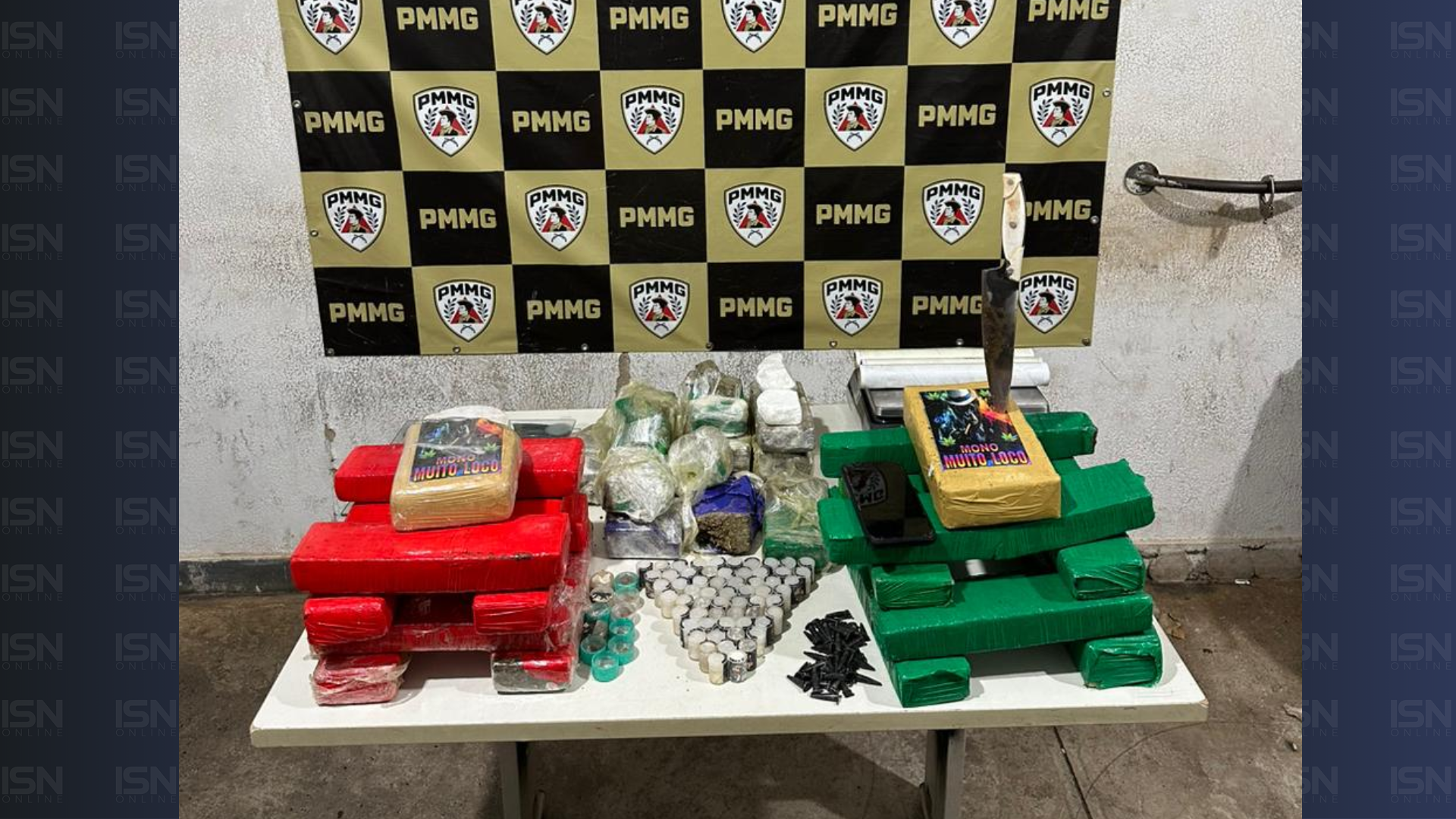 (foto: divulgação/ PMMG)