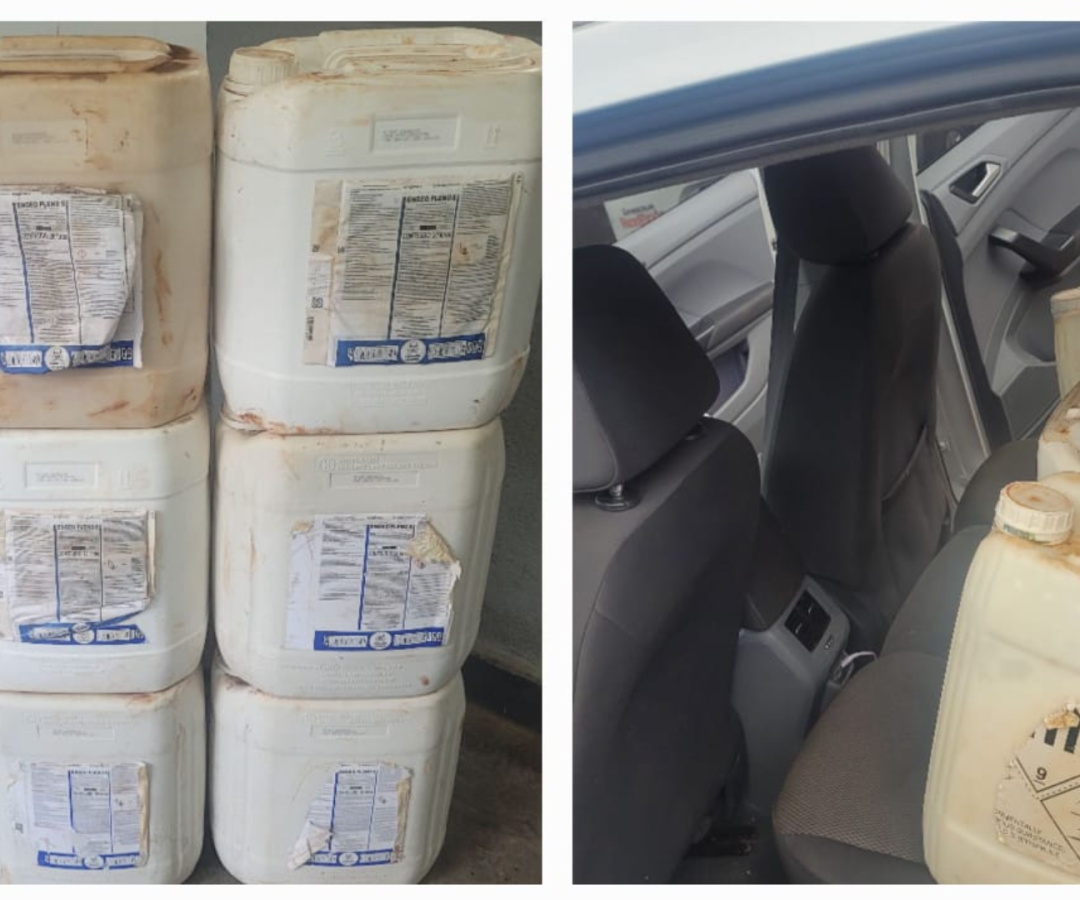 (foto: divulgação/ PMMG)