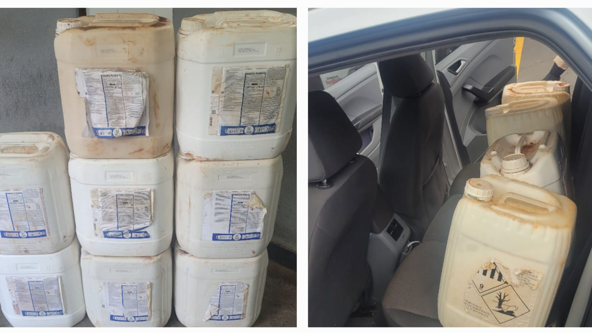 (foto: divulgação/ PMMG)