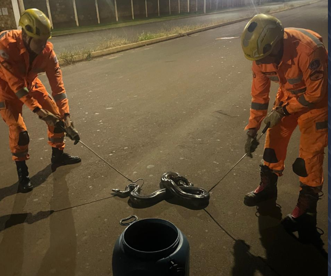 (foto: divulgação/ Corpo de Bombeiros)