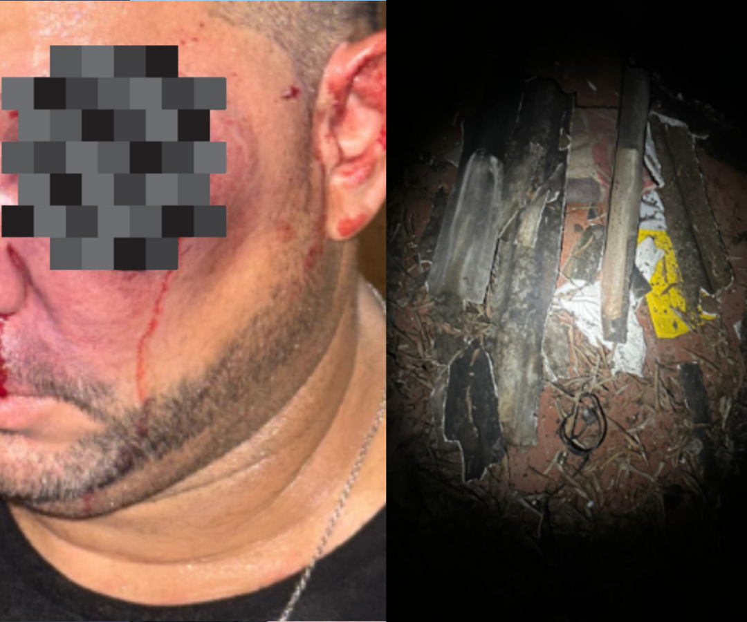 (foto: divulgação/PMMG)