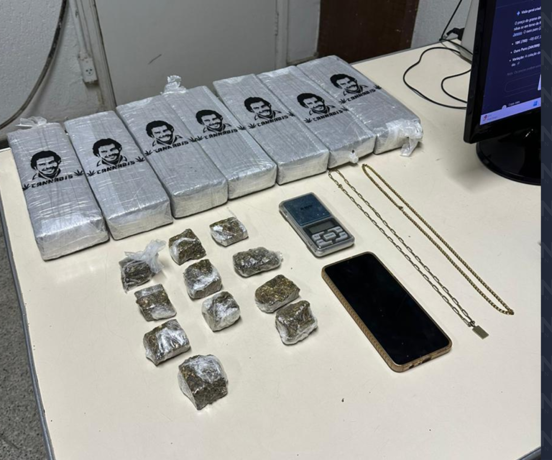 (foto: divulgação/ PMMG)