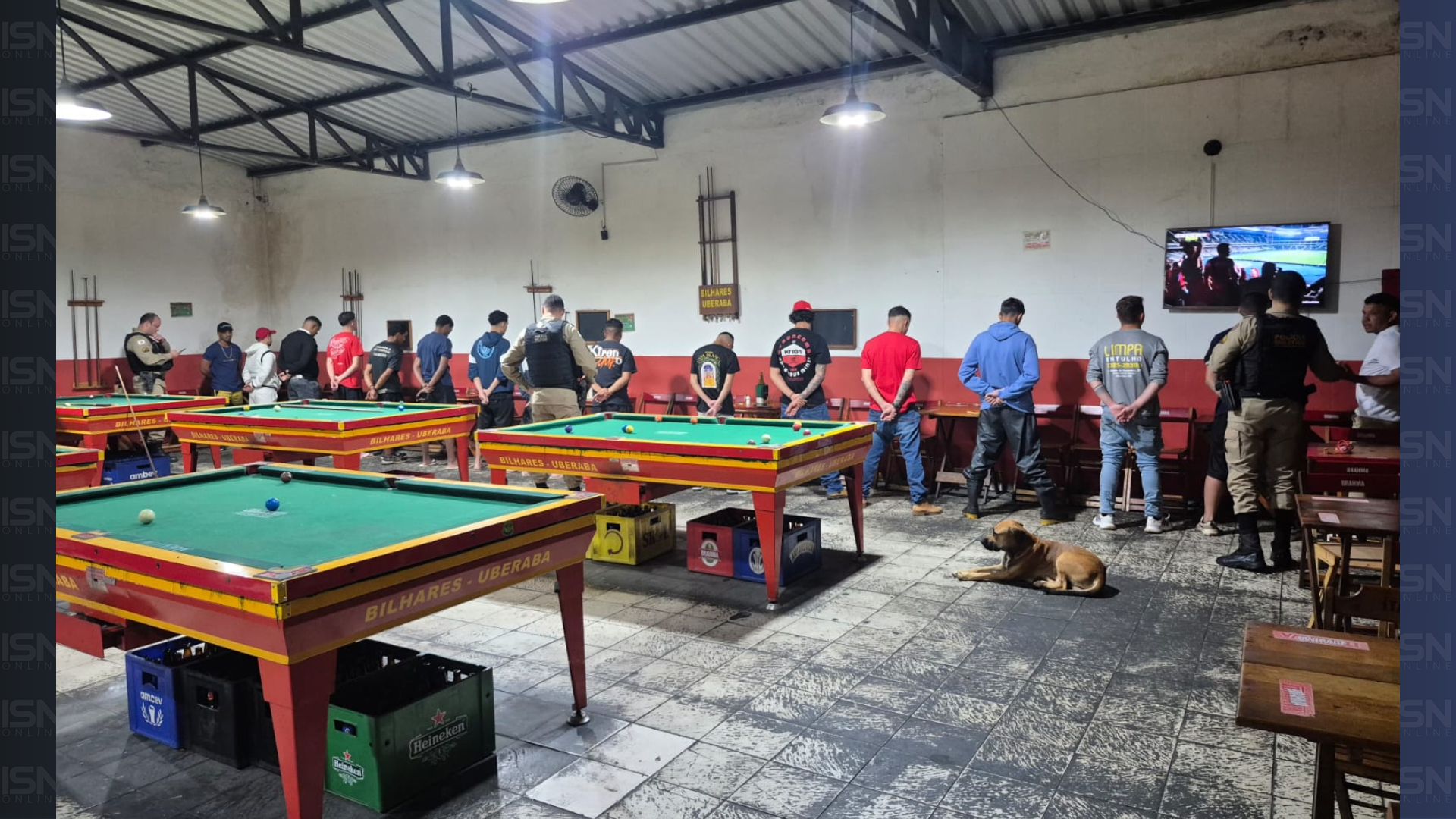 (foto: divulgação/ PMMG)