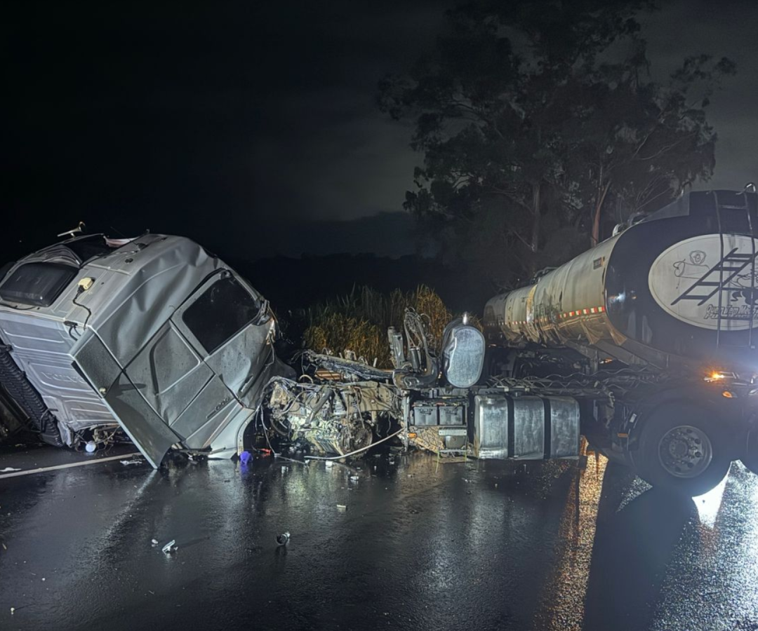 (foto: divulgação/ PMRv)