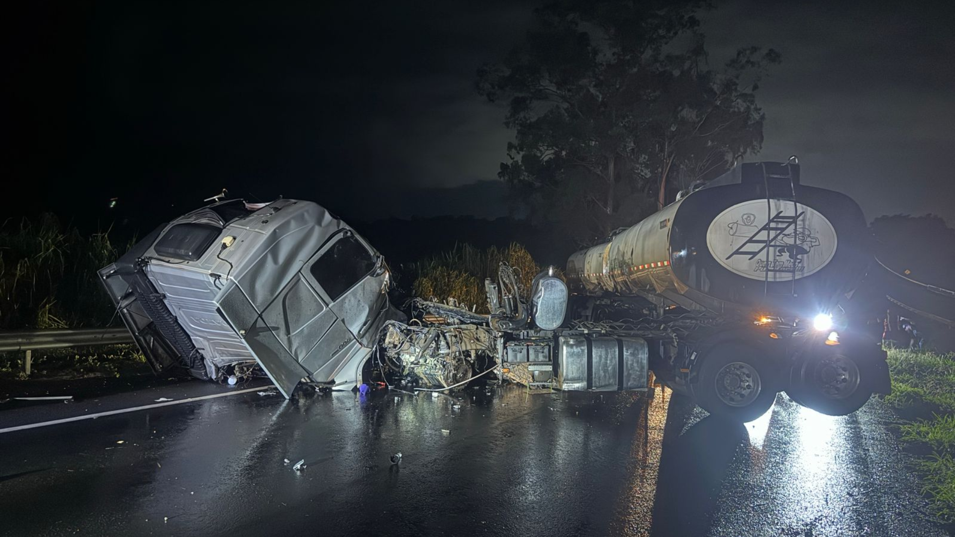 (foto: divulgação/ PMRv)