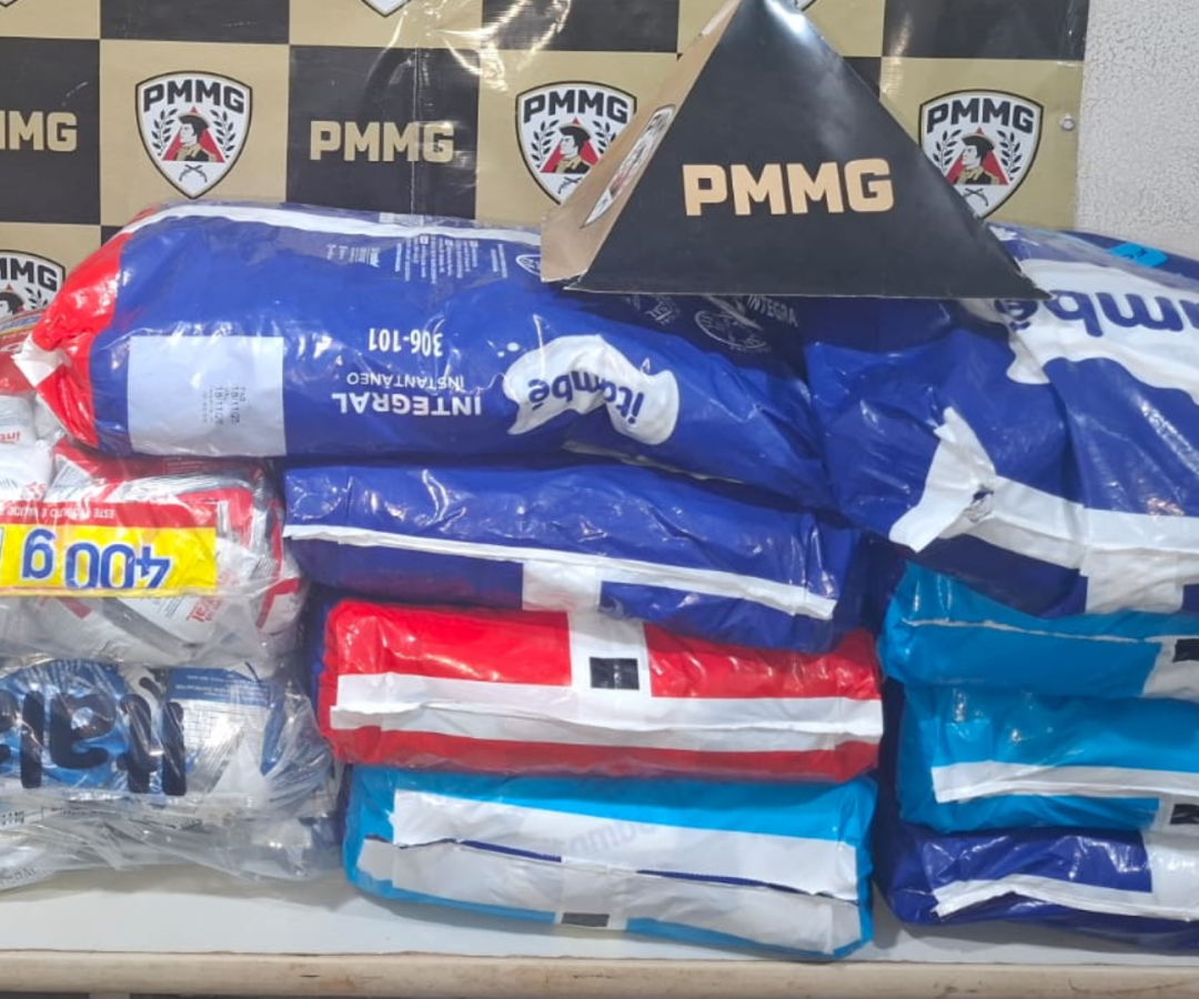 (foto: divulgação/ PMMG)