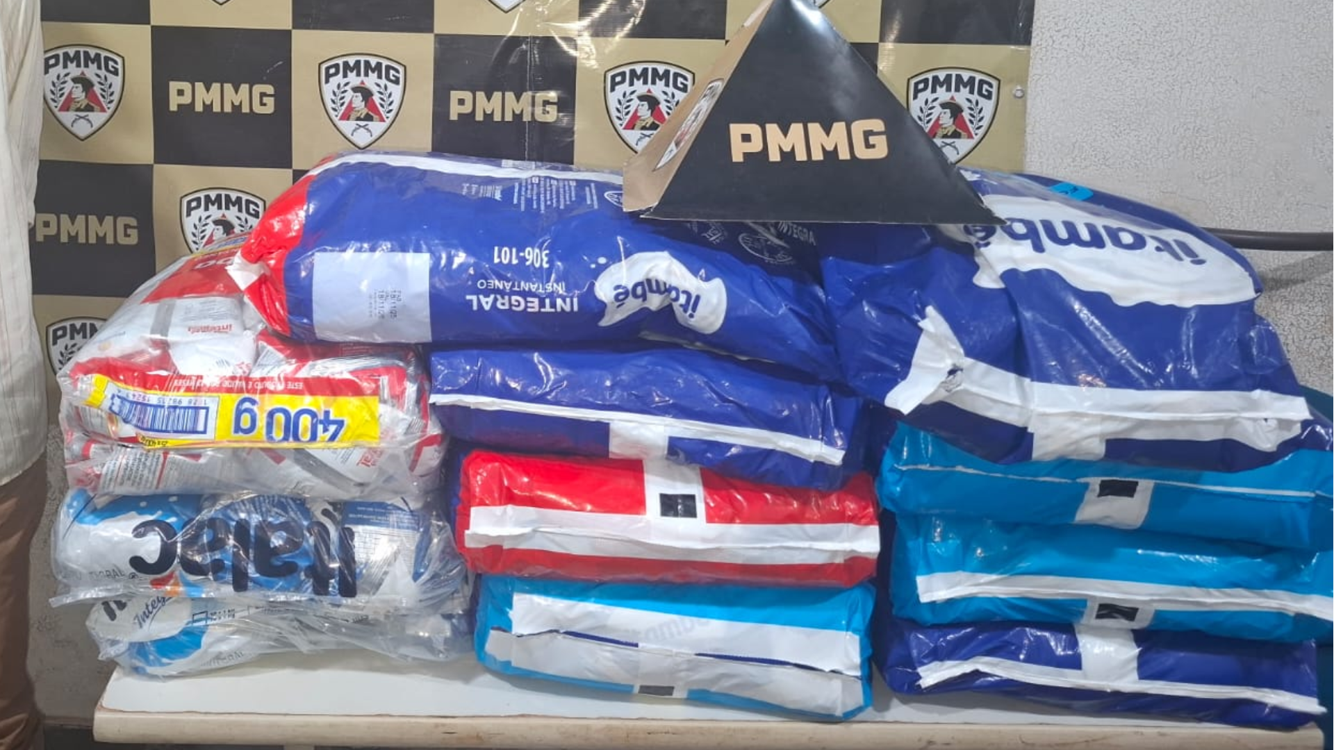 (foto: divulgação/ PMMG)