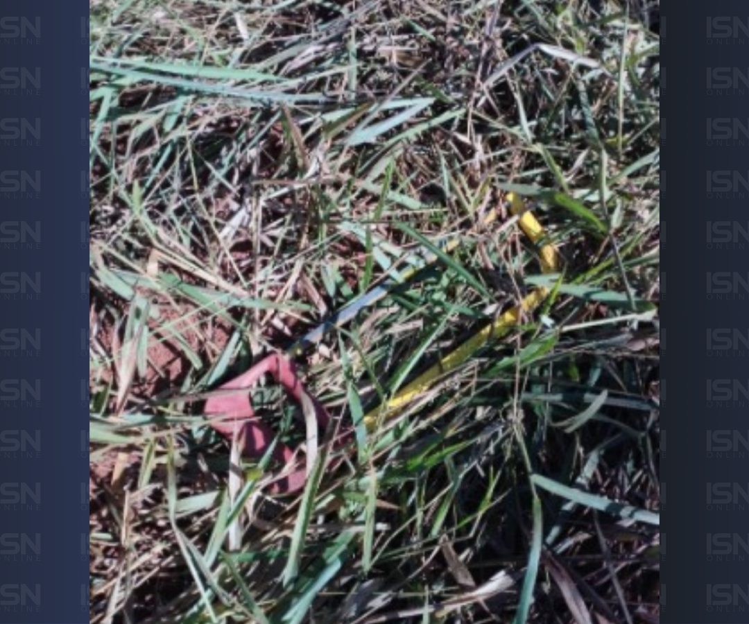 Ferramenta utilizada para o corte dos fios (foto: divulgação/ PMMG)