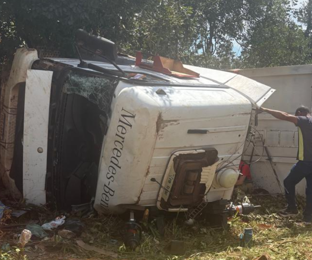 (foto: divulgação/ PMRv)