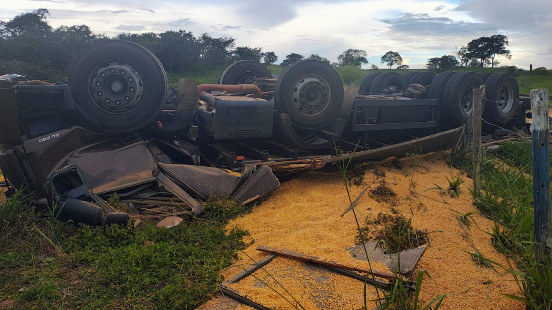 (foto:  divulgação/ CBMG)