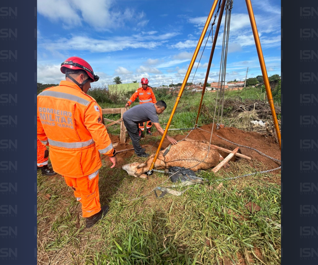 (foto: divulgação/ Corpo de Bombeiros)