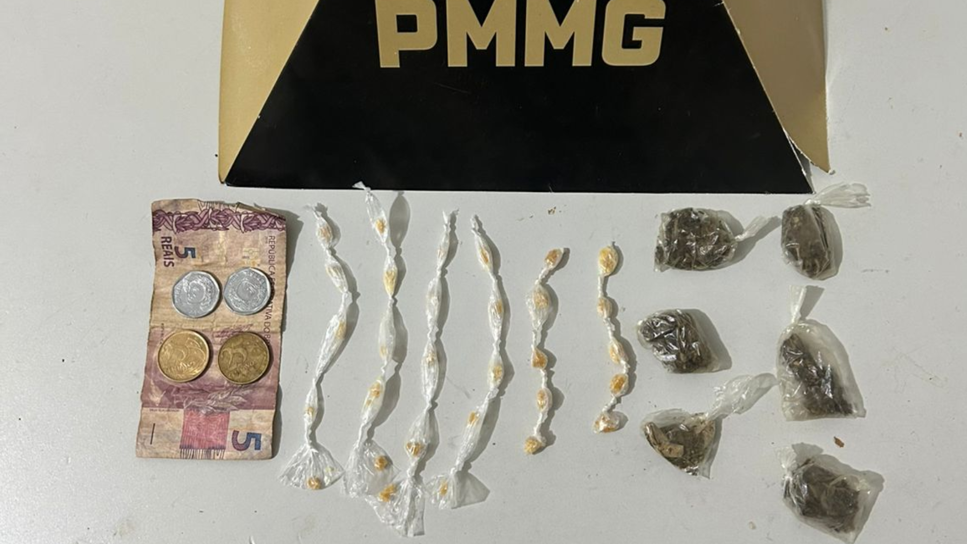 (foto: divulgação/ PMMG)