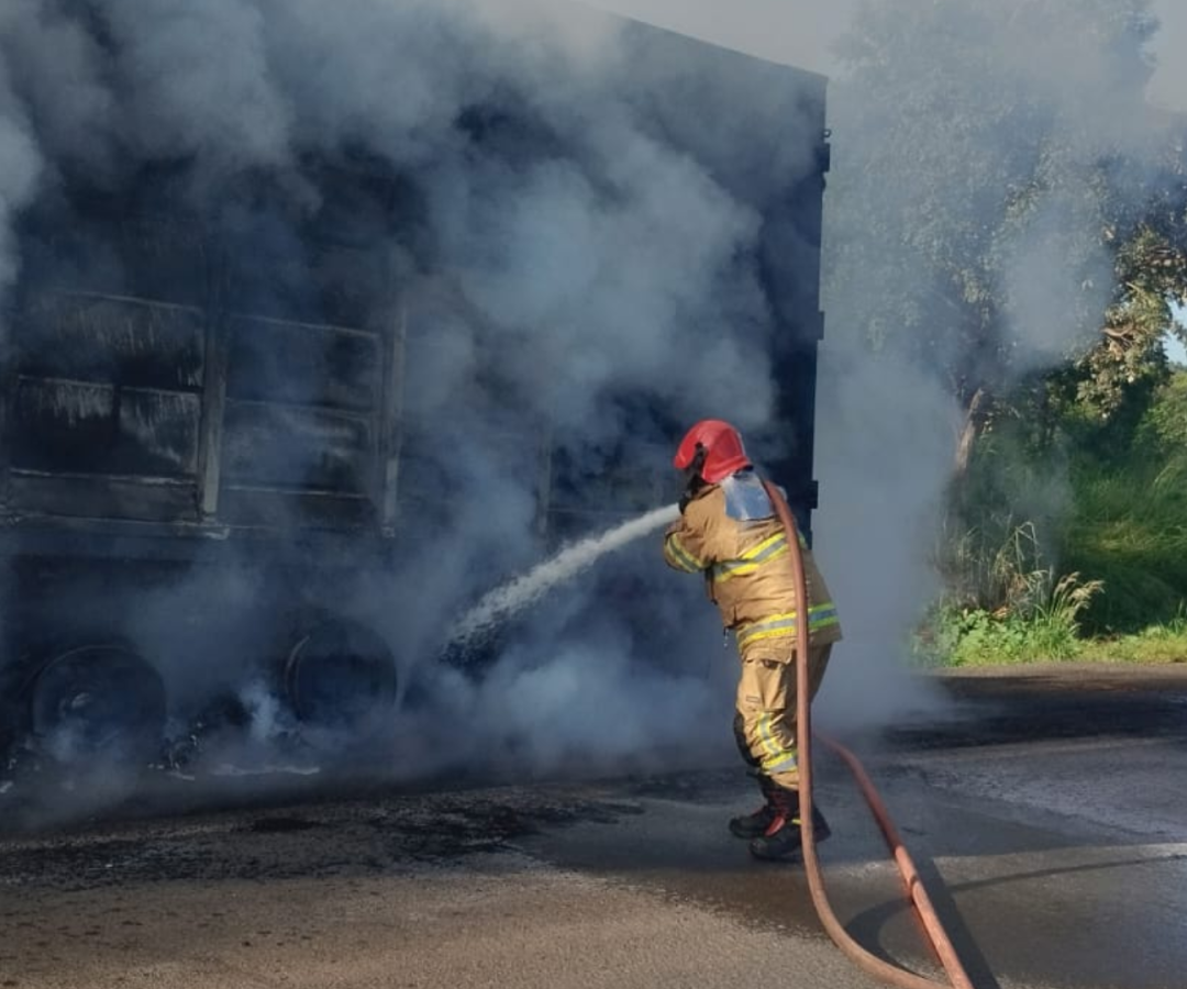 (foto: divulgação/ CBMG)