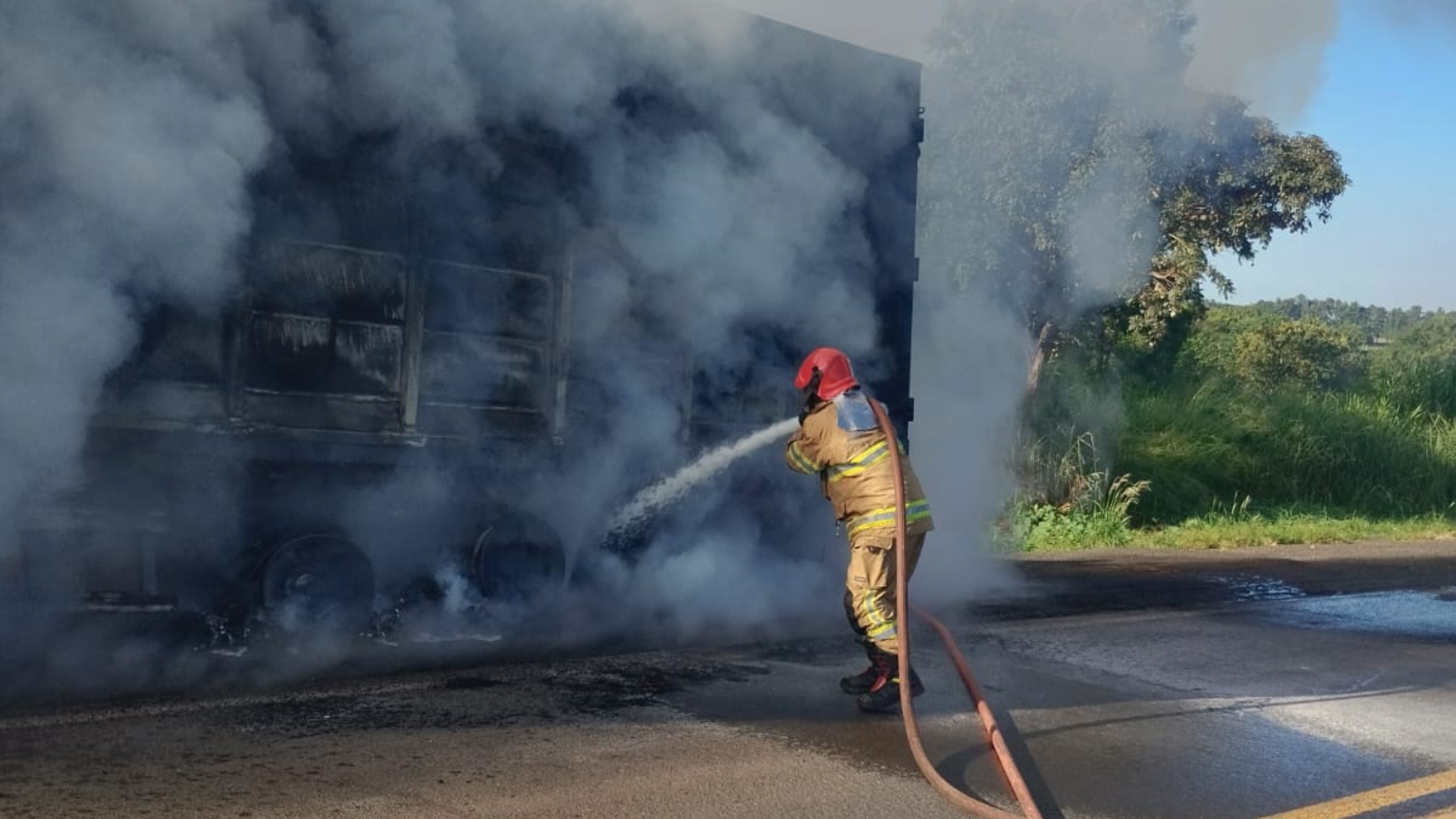 (foto: divulgação/ CBMG)