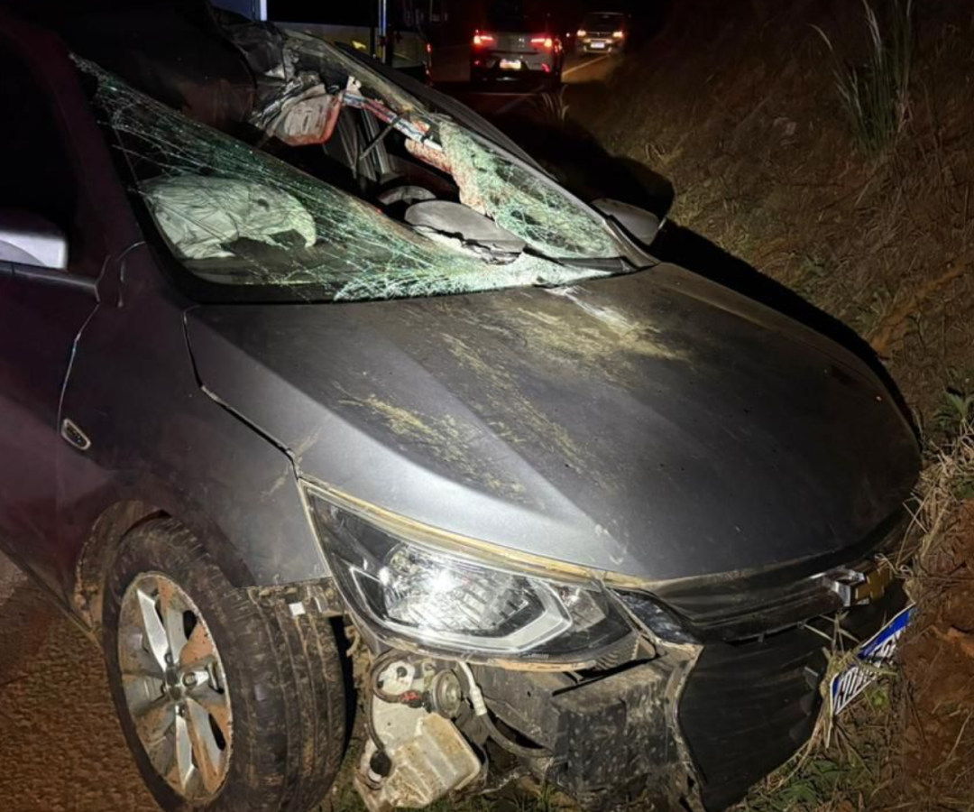 (foto: divulgação/ PMRv)