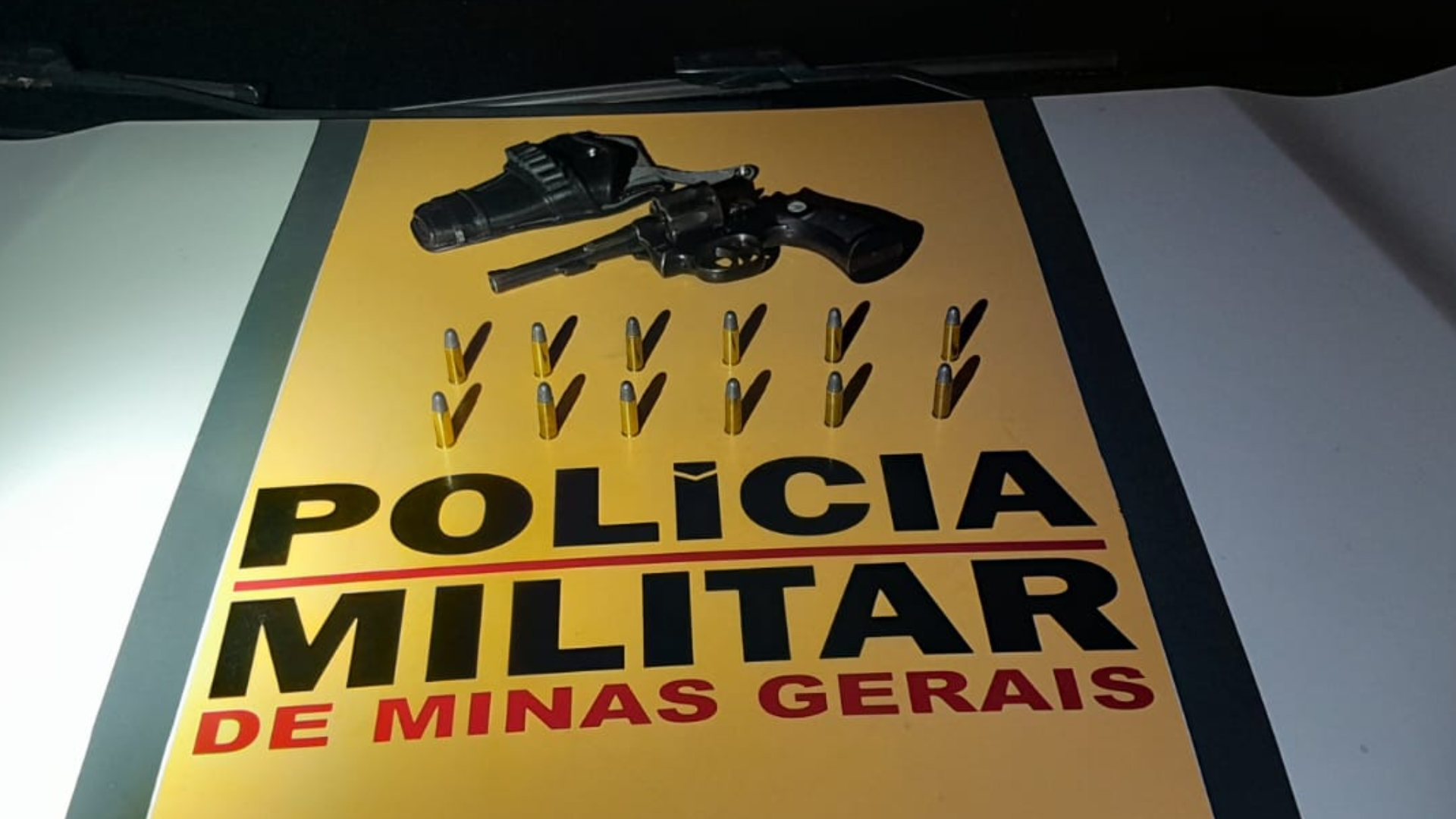 (foto: divulgação/ PMRv)