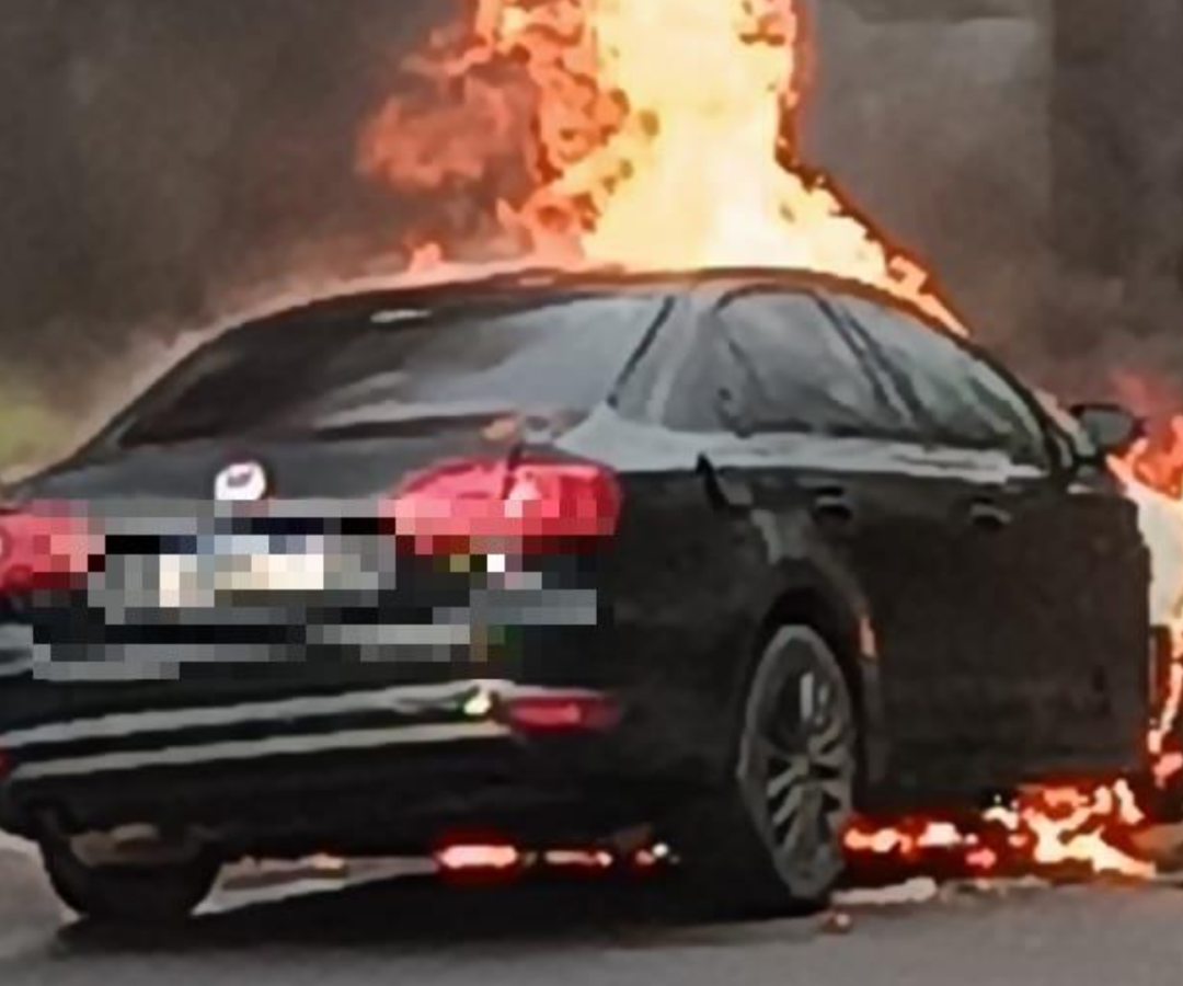 (foto divulgação)