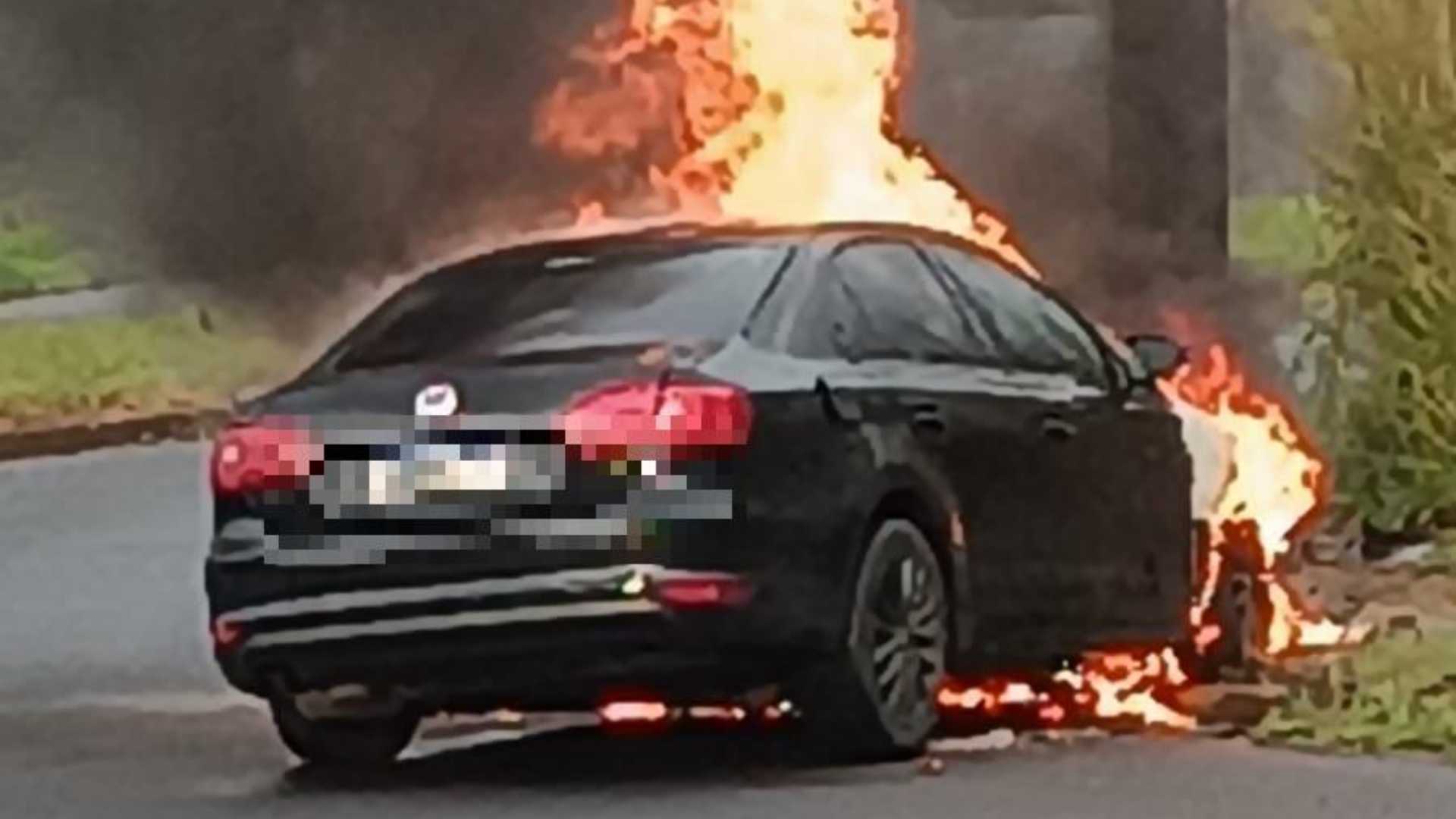 (foto divulgação)