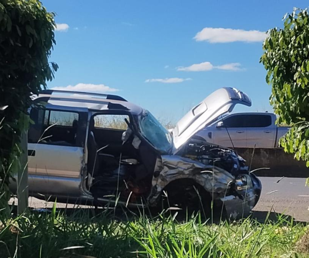 (foto: divulgação)