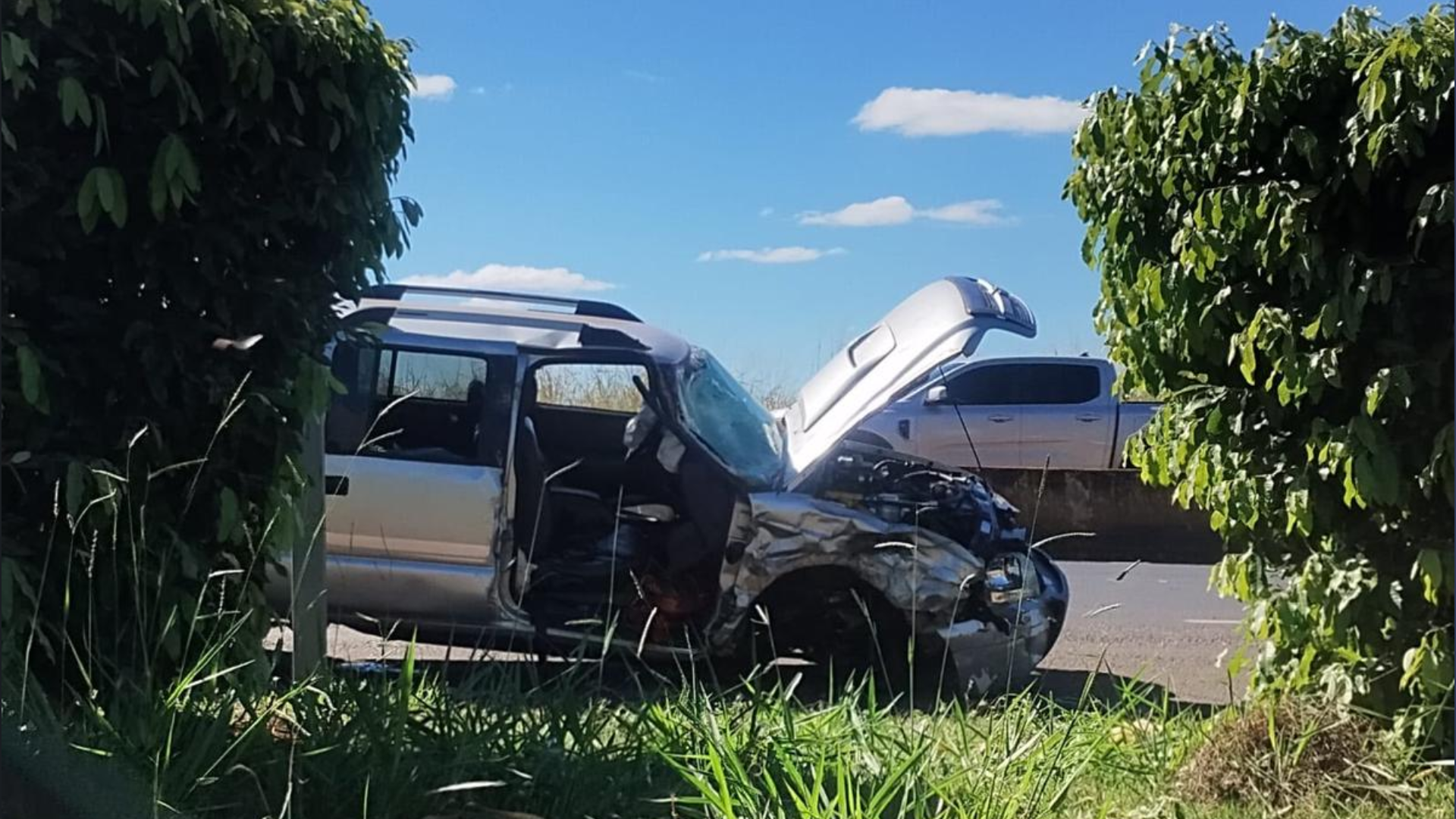 (foto: divulgação)