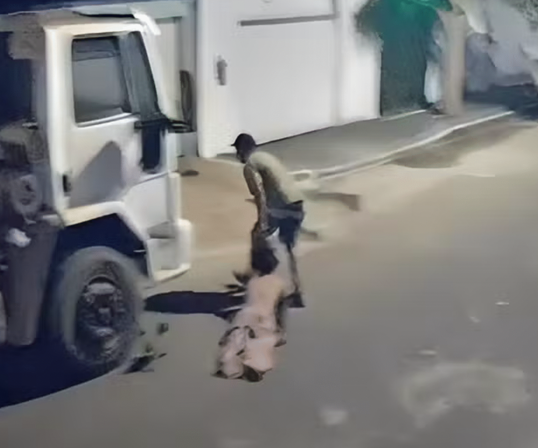 Um homem foi preso em Uberlândia após arrastar a esposa pelos cabelos no meio da rua (imagem: reprodução/redes sociais)